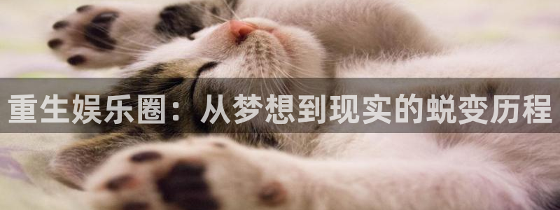 华润娱乐官方网站入口：重生娱乐圈：从梦想到现实的蜕变历程