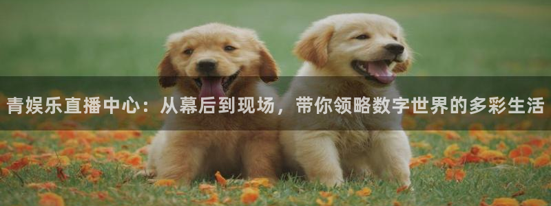 华润娱乐官方网站入口：青娱乐直播中心：从幕后到现场，带你领略数字世界的多彩生活