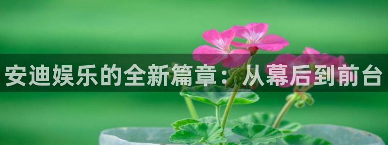 华润娱乐官方网站入口：安迪娱乐的全新篇章：从幕后到前台