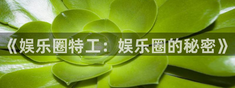 华润娱乐官方网站入口