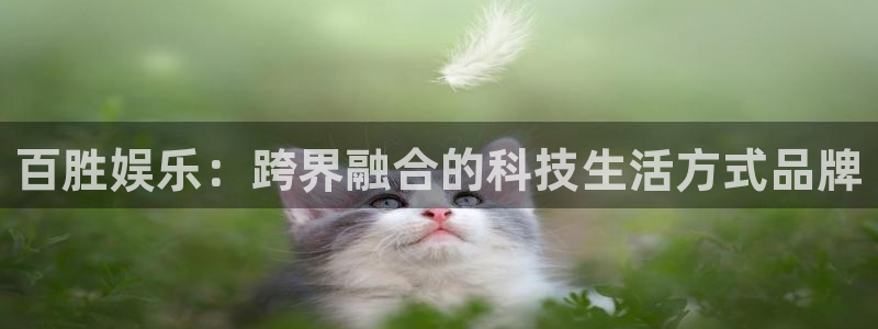 华润娱乐注册链接：百胜娱乐：跨界融合的科技生活方式品牌