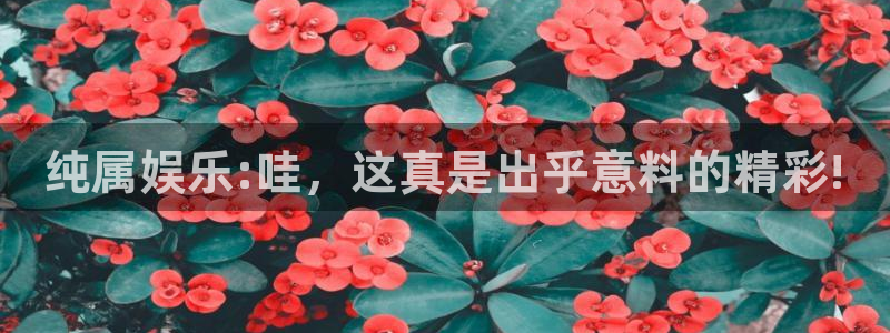 华润娱乐官方网站入口：纯属娱乐:哇，这真是出乎意料的精彩!