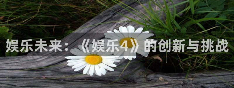 华润娱乐官方网站入口：娱乐未来：《娱乐4》的创新与挑战