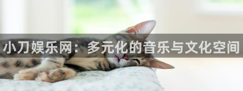 华润娱乐官方网站入口：小刀娱乐网：多元化的音乐与文化空间