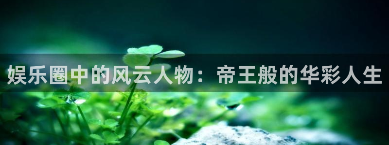 华润娱乐官方网站入口：娱乐圈中的风云人物：帝王般的华彩人生